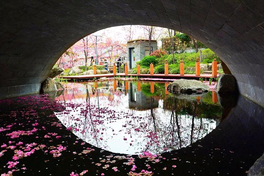 茶馬博物館