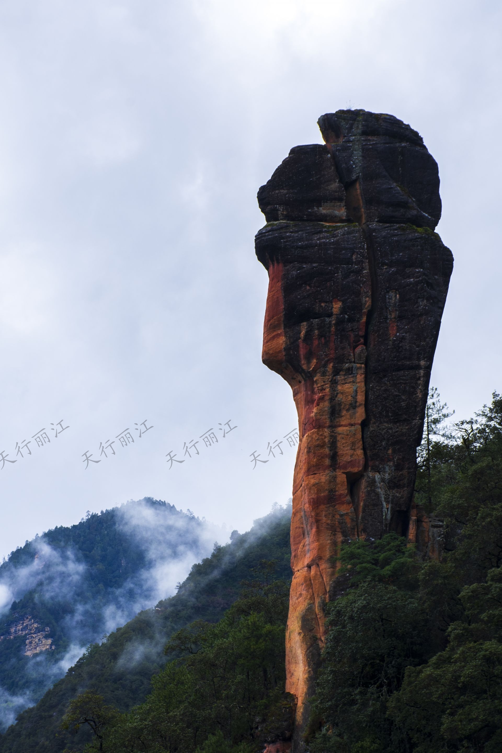 麗江老君山黎明景區(qū)因其避世的清幽、壯美的丹霞，成為了一處令人向往的秘境。 在這里，可以游壯美千龜山。景區(qū)以丹霞地貌聞名，是國內(nèi)面積最大、發(fā)育最完整的丹霞地貌。以千龜山為代表，其形如烏龜?shù)膲邀惥坝^，堪稱中國一絕。游人可乘坐索道，輕松游覽這一奇觀。